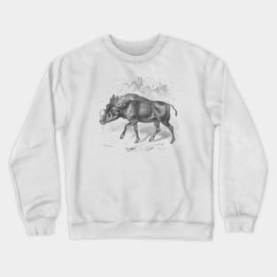 Warthog Vintage Nature Illustration Crewneck Sweatshirt